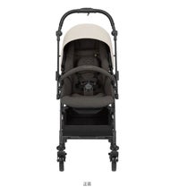 コンビ スゴカルR エッグショック ZA A型ベビーカー 両対面 18